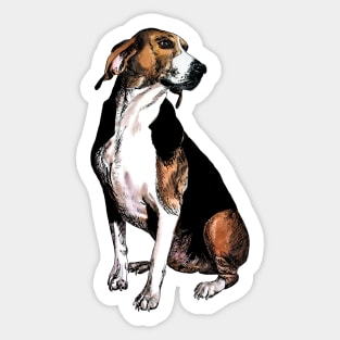 beagle Sticker